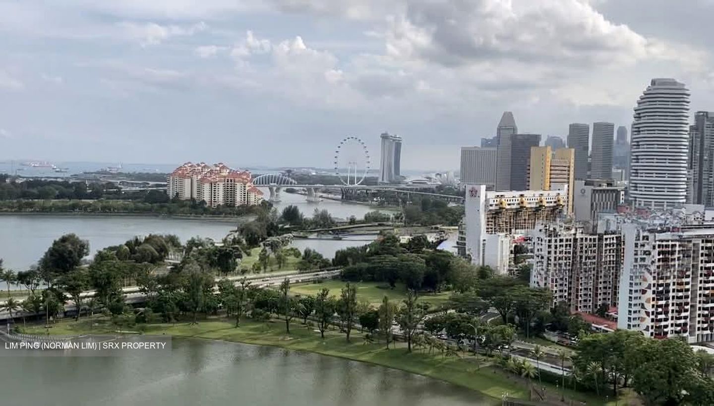Kallang Riverside (D12), Apartment #555095771